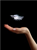 LightAsAFeather_150x166